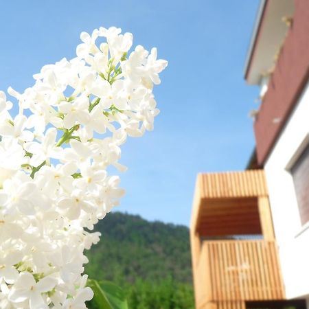 B&B Casa Sul Lago - Appartamenti Calceranica al Lago Szoba fotó