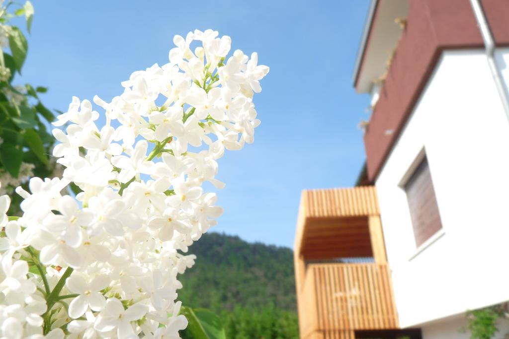 B&B Casa Sul Lago - Appartamenti Calceranica al Lago Szoba fotó