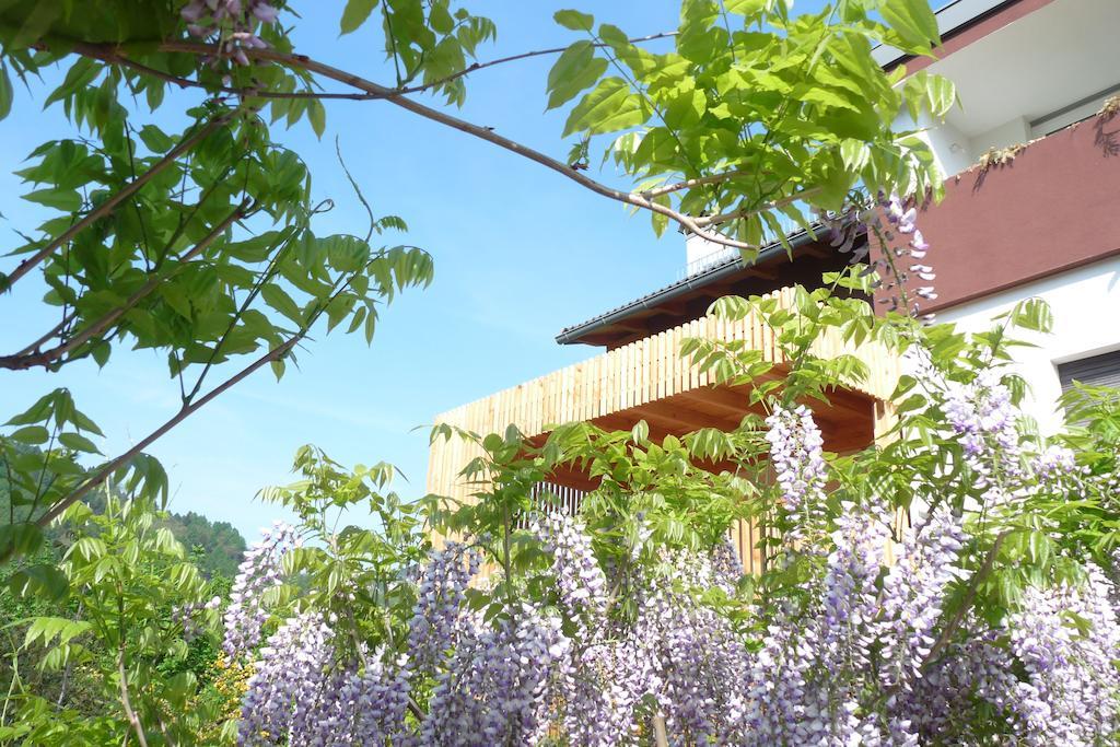 B&B Casa Sul Lago - Appartamenti Calceranica al Lago Kültér fotó