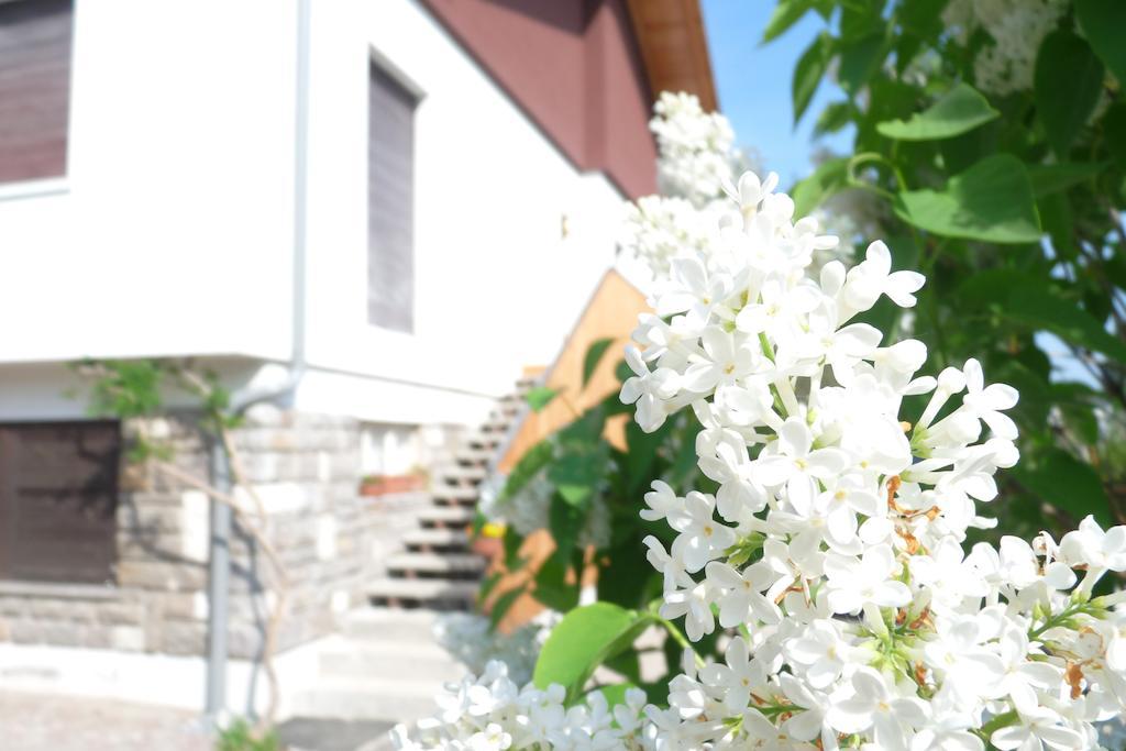 B&B Casa Sul Lago - Appartamenti Calceranica al Lago Kültér fotó